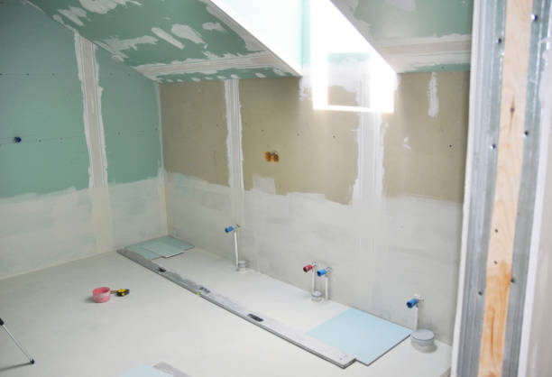 Best Biohazard Mold Removal  in Breckenridge, MI