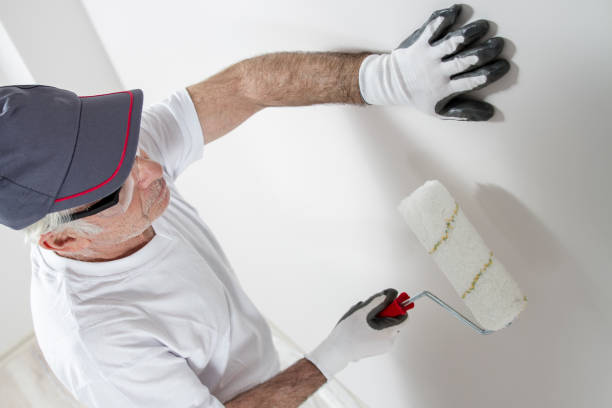 Forensic Mold Investigation in Breckenridge, MI