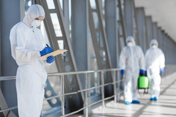 Best Environmental Consulting for Mold Prevention  in Breckenridge, MI