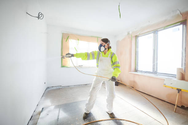 Best Emergency Mold Remediation  in Breckenridge, MI