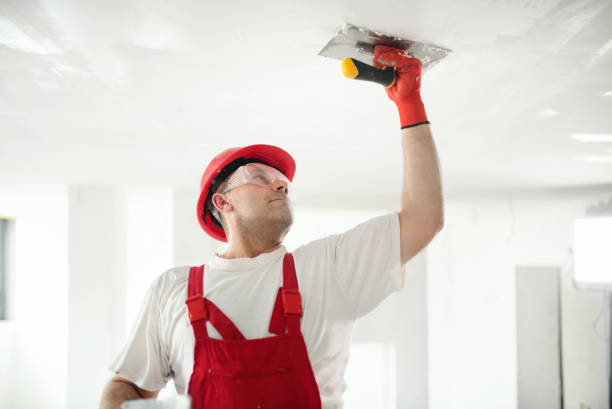 Best Indoor Air Quality Assessment  in Breckenridge, MI