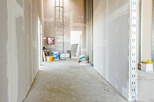 Mold Documentation for Insurance Claims in Breckenridge, MI