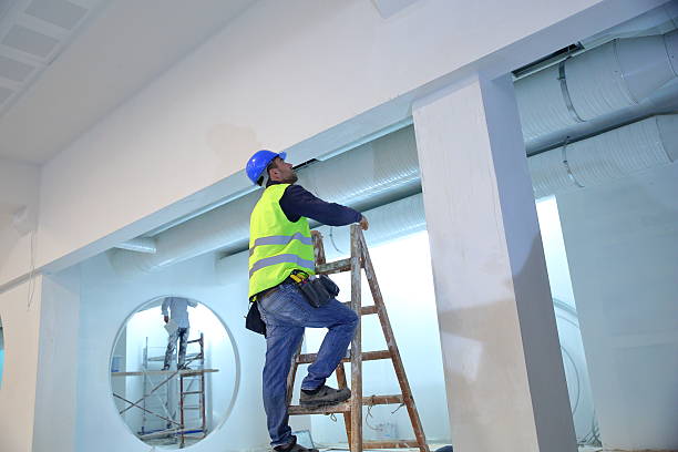 Best Mold Damage Restoration  in Breckenridge, MI