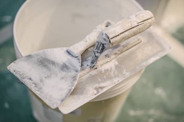 Best Black Mold Removal  in Breckenridge, MI
