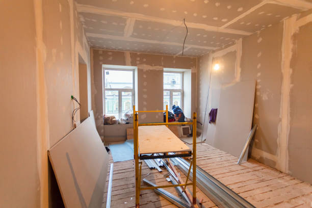 Best Real Estate Mold Inspection  in Breckenridge, MI